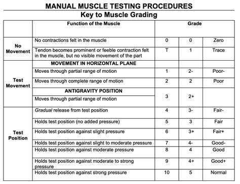 how to test legs on a soft start|How to Assess Muscle Strength .